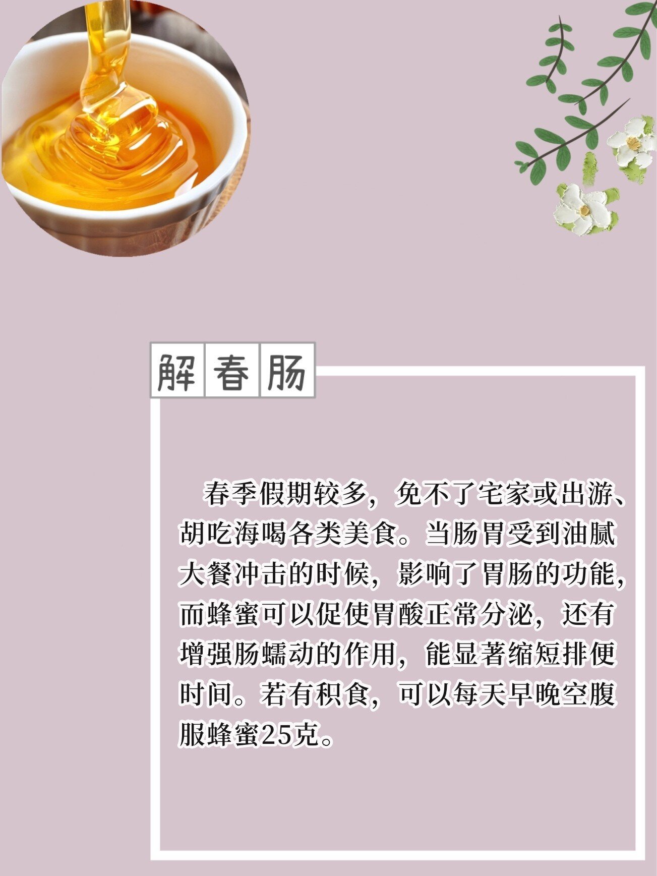 蜂蜜的作用5功效(蜂蜜的功效与作用好处)