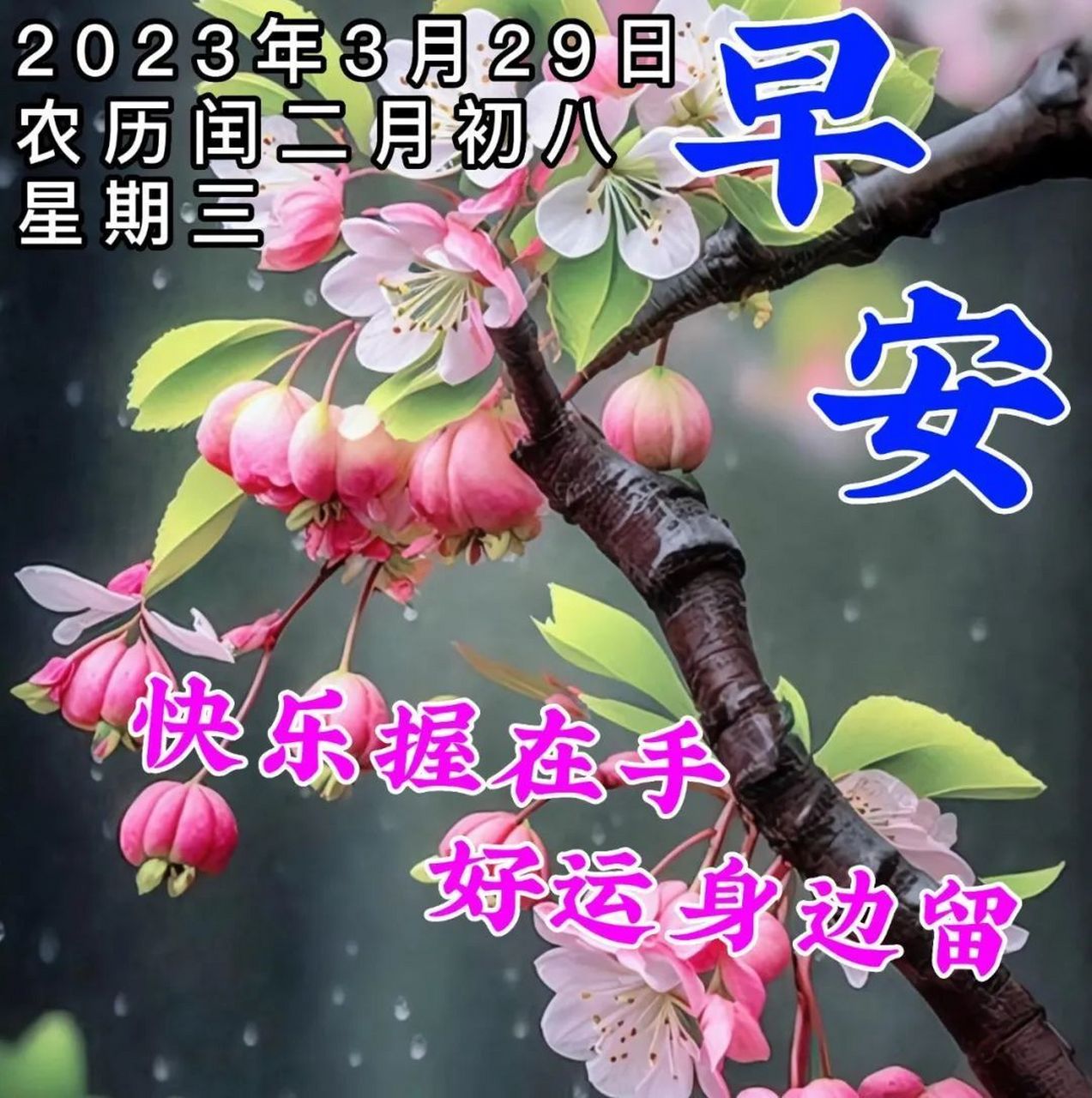 3月29日周三早上好漂亮好看早安祝福图片 珍惜人生相处的真诚,呵护