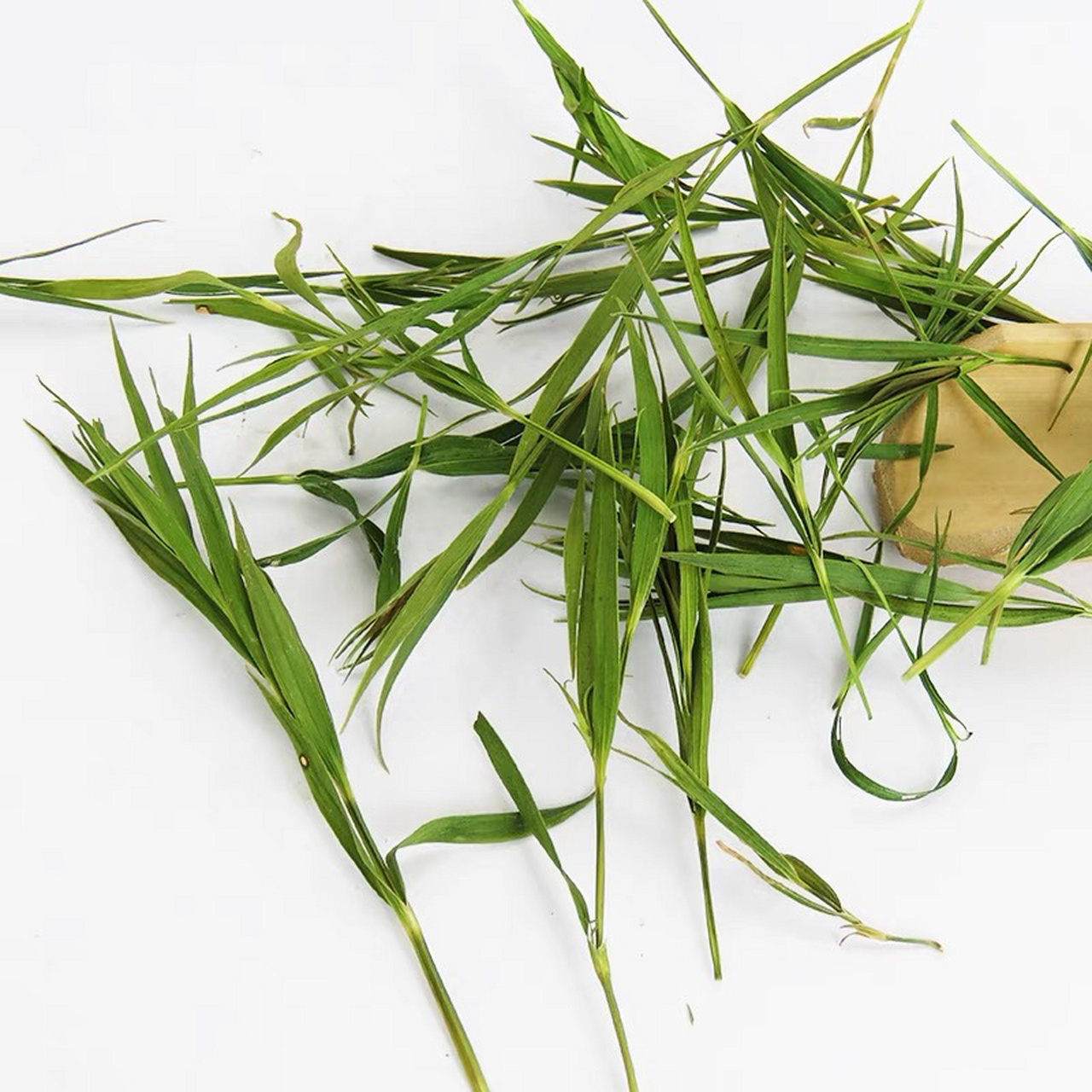 带你认识中药材——淡竹叶|||淡竹叶,中药名.