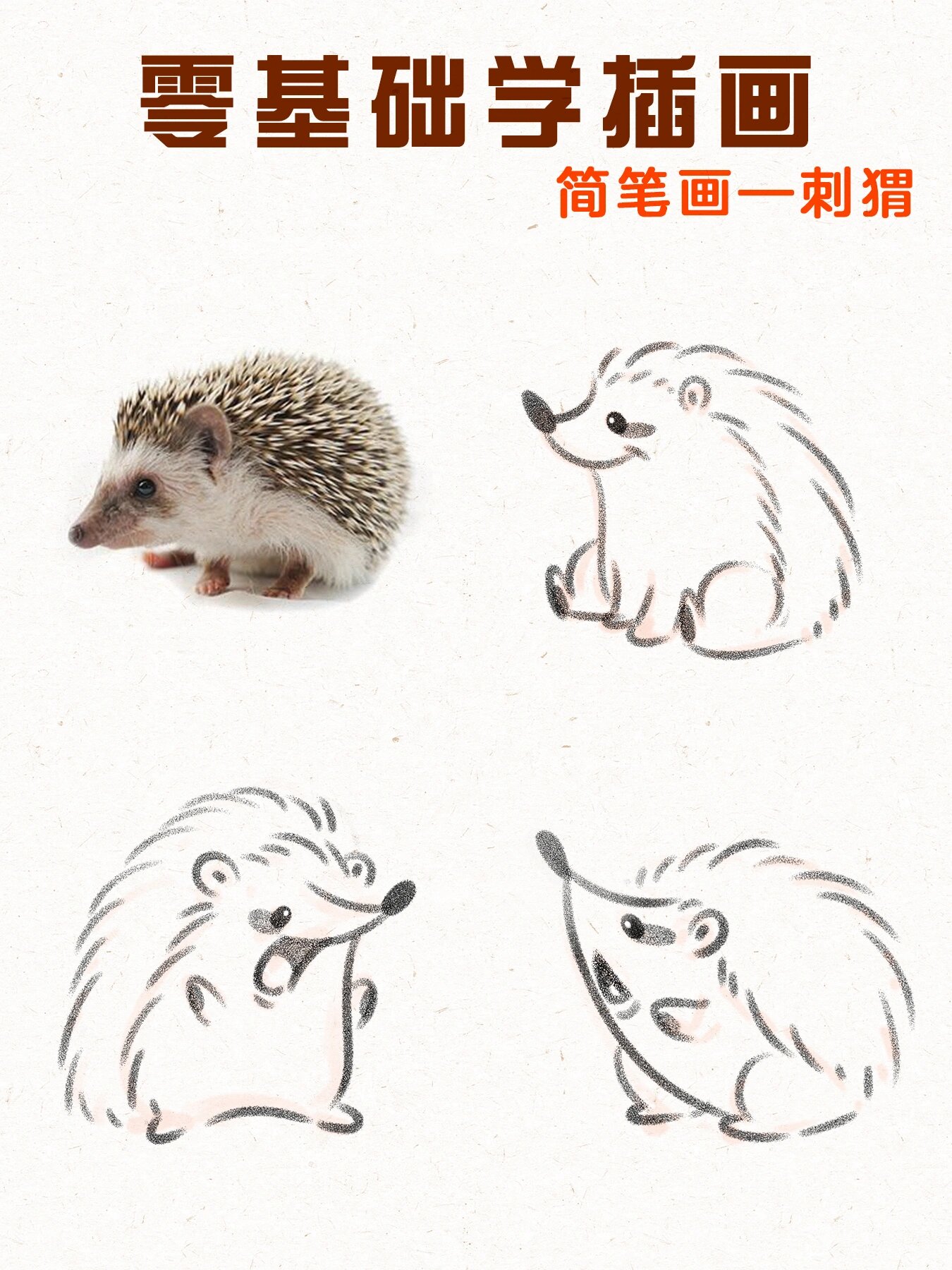 零基础学画画|02简笔画小刺猬的画法