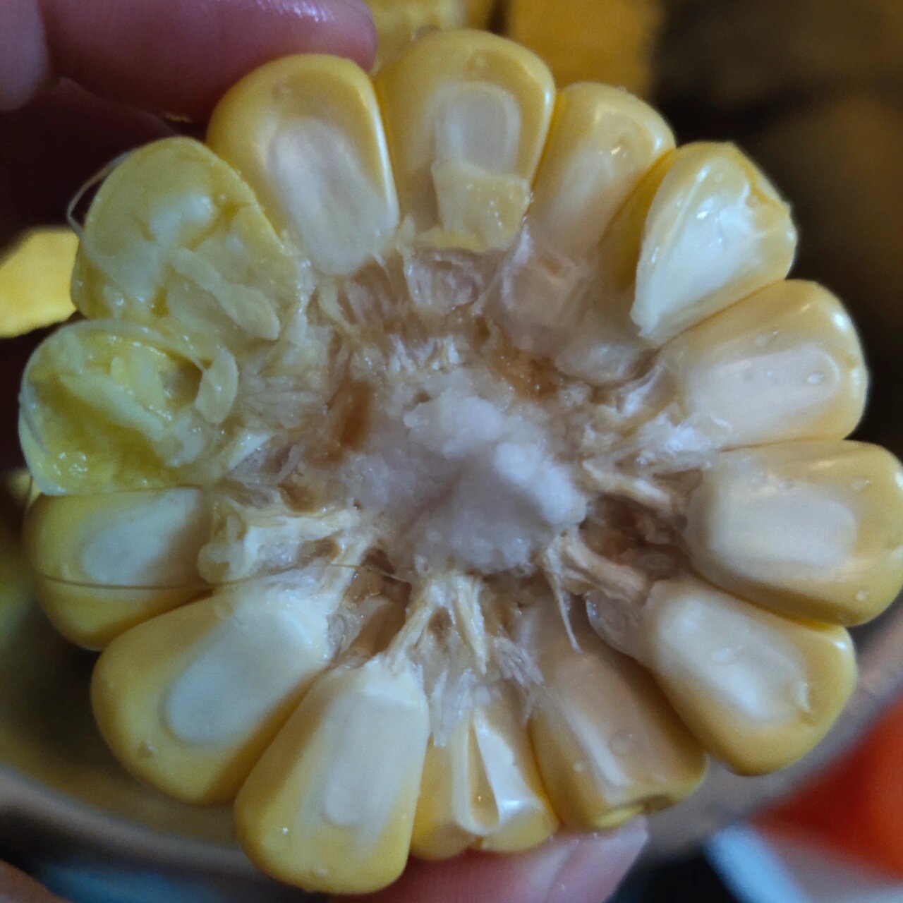 广大网友们,我想问玉米中间有褐色是烂了吗 想问问一广大网友,玉米