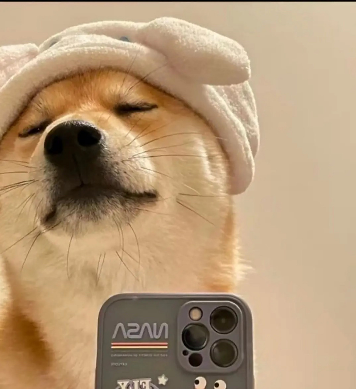 狗头沙雕头像 狗头沙雕头像