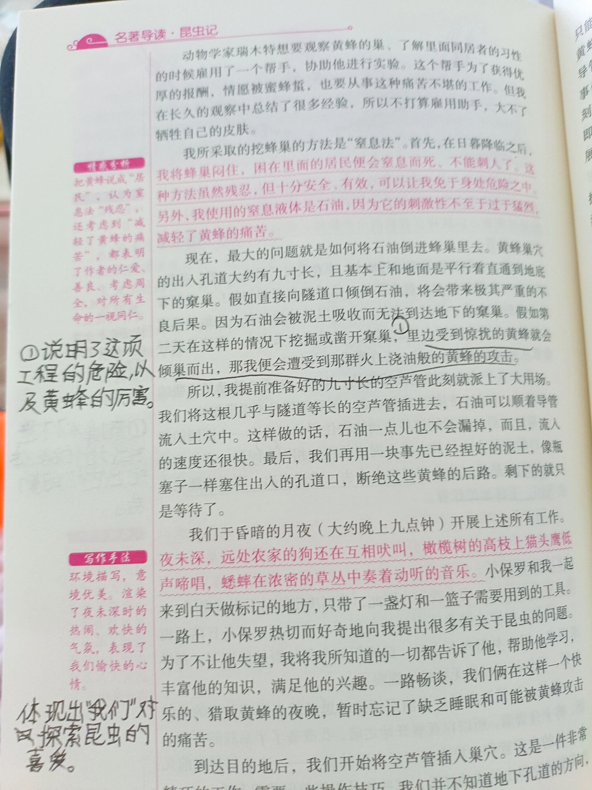 《昆虫记》第十九章黄蜂