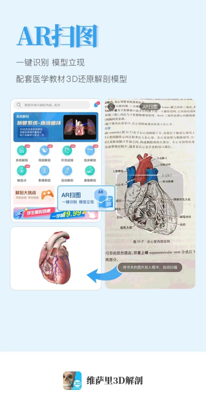 解剖大师##解剖大师#  19.