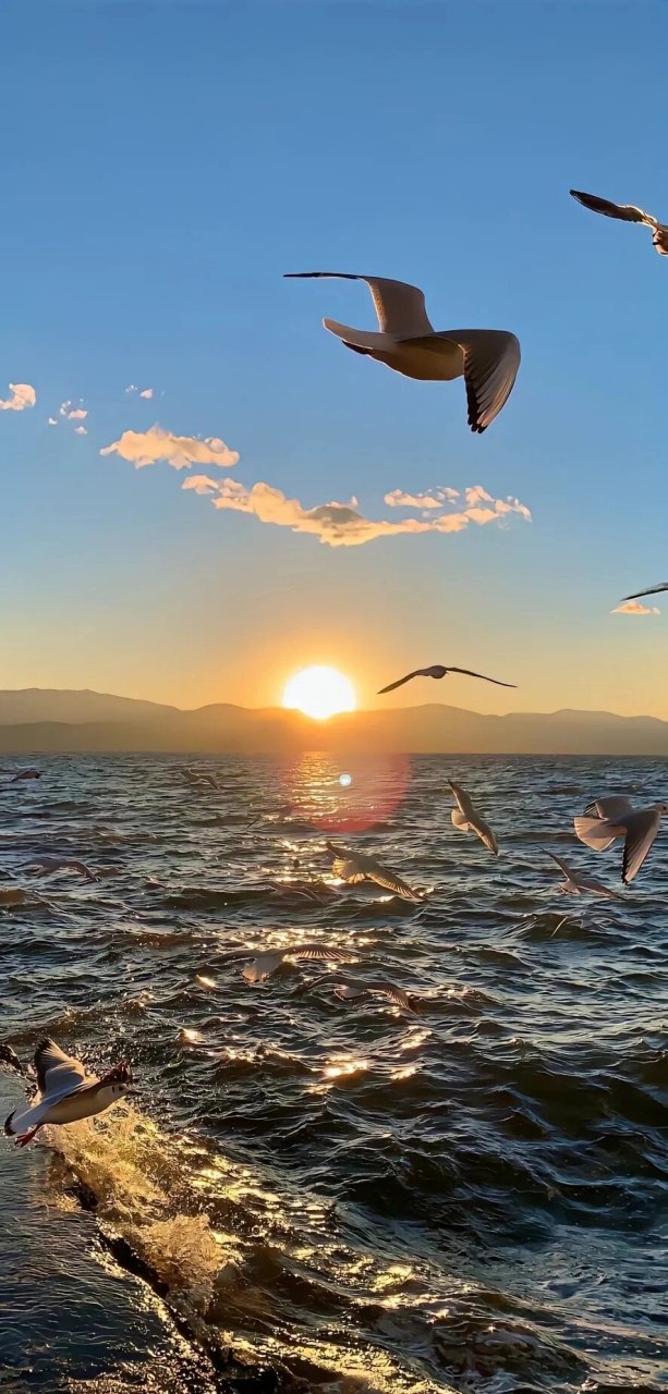 那些救赎感满满的壁纸 #壁纸# #救赎感# #妈见打