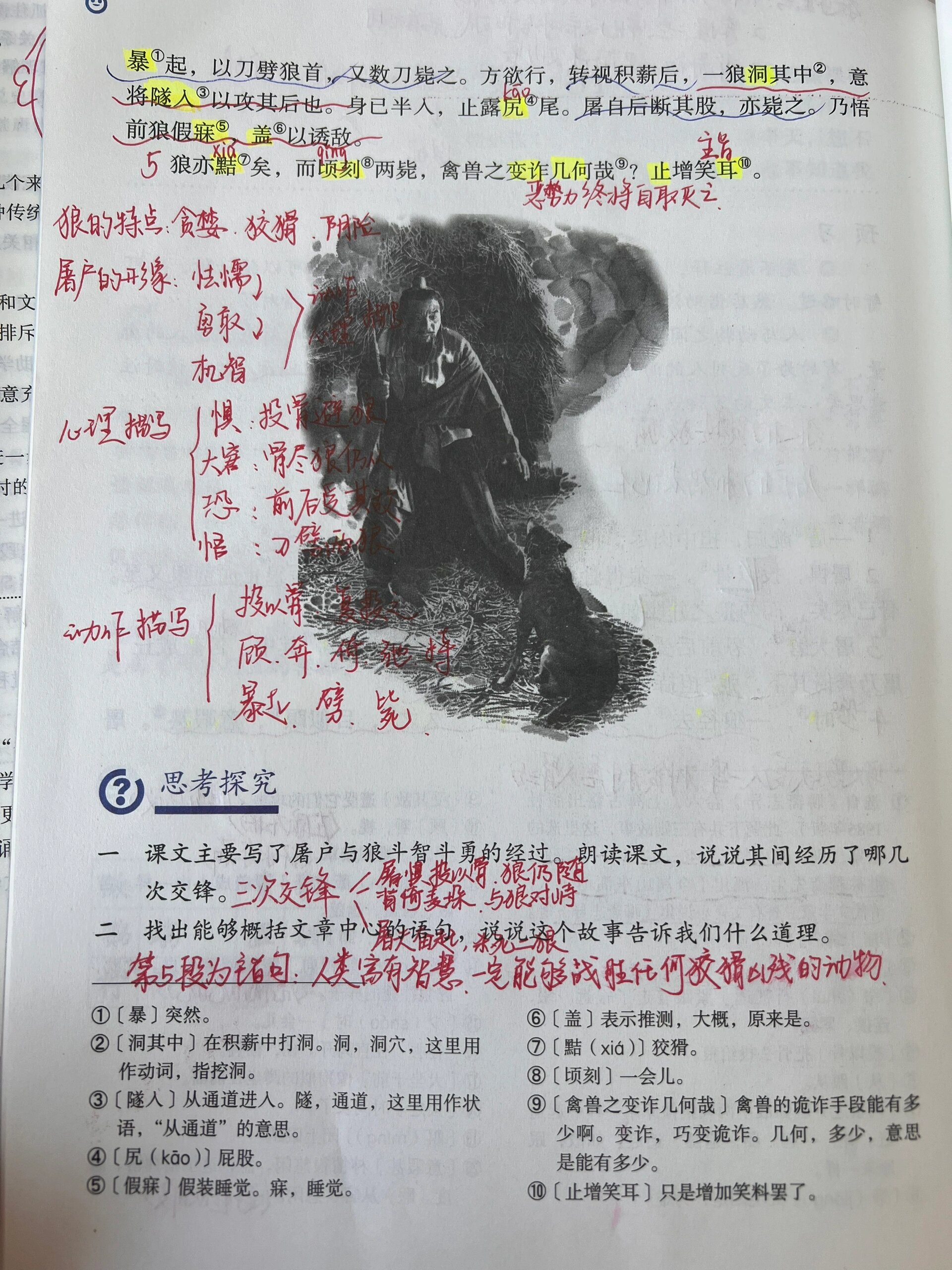 狼的左手全篇小说