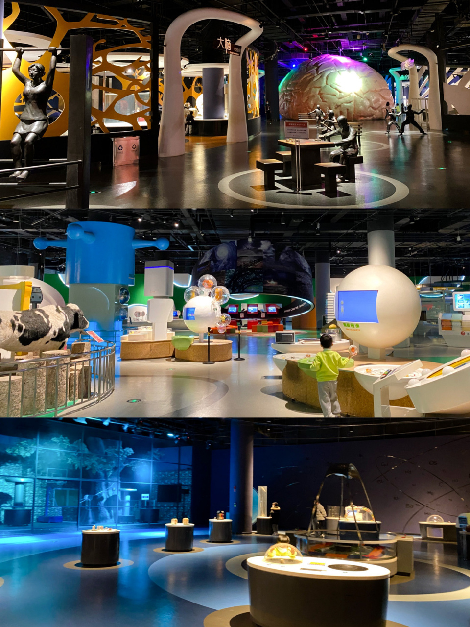 7515免费7515遛娃好去处|宁波科学探索中心 我该不会是最后一