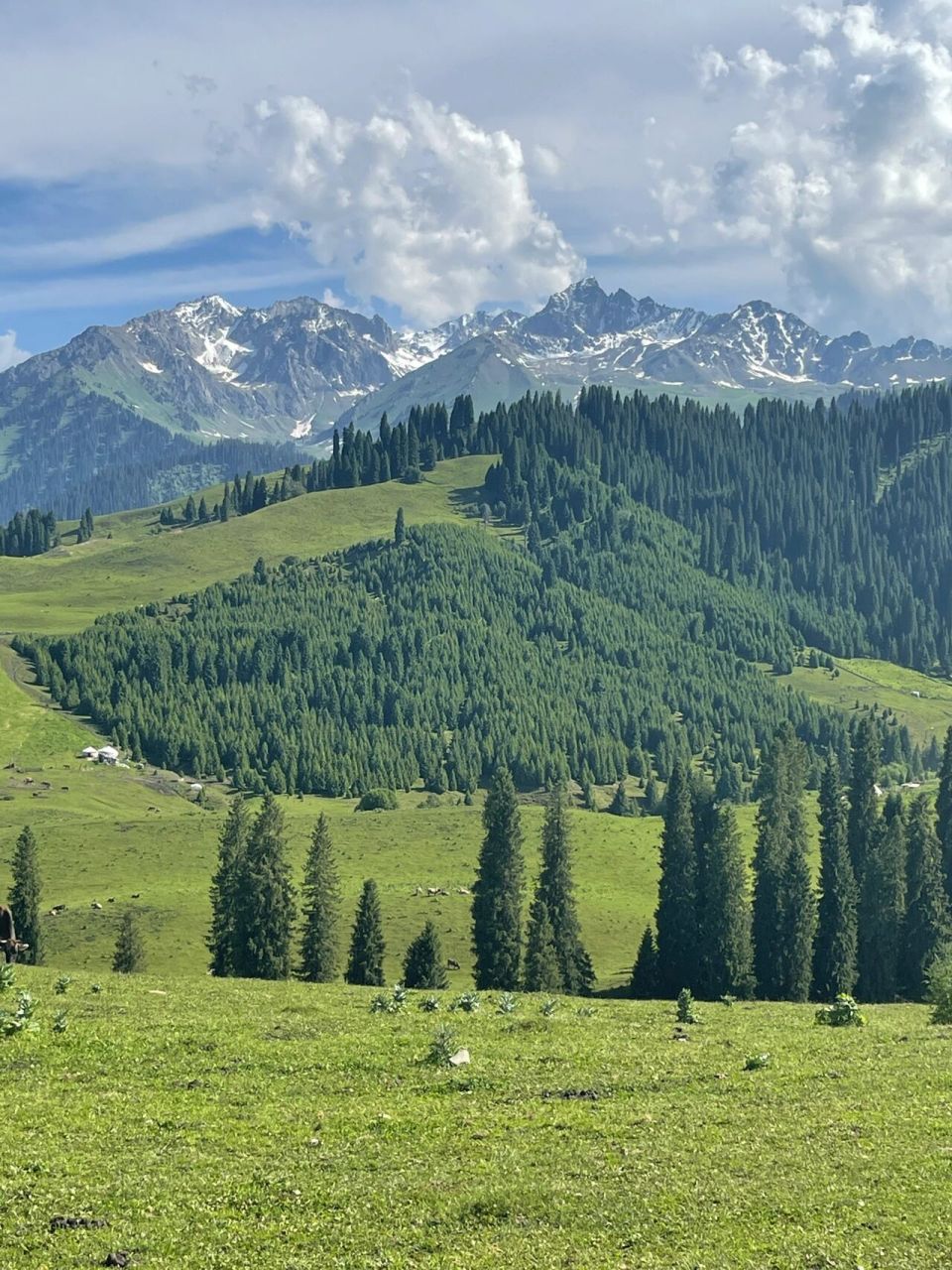 今天来了恰西草原前一晚住在特克斯八卦城的民宿,旁边的离街有可以租