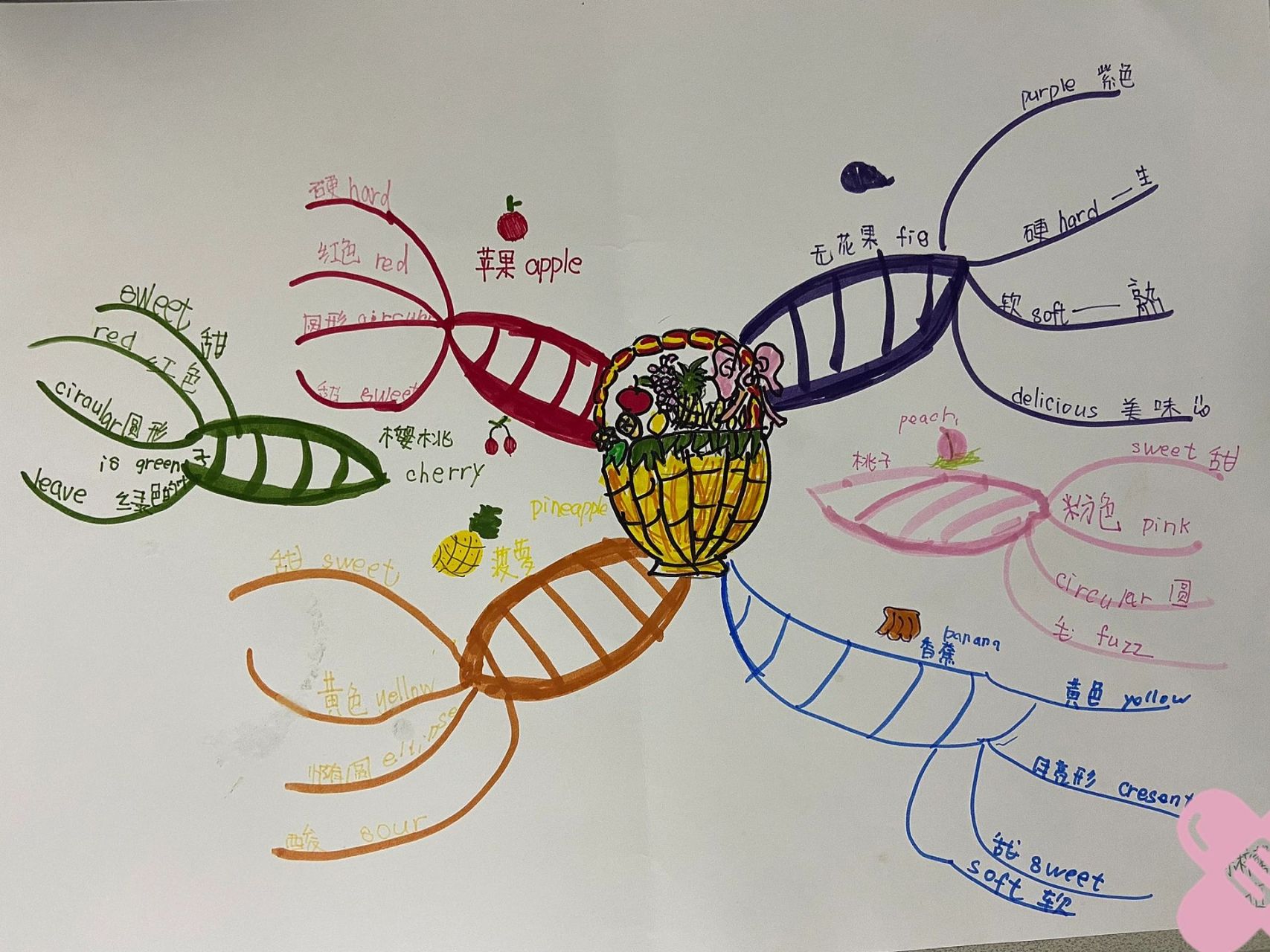 水果主题思维导图