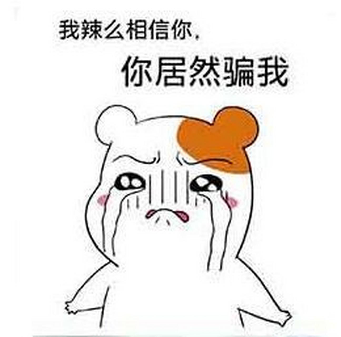 "fool me once, shame on you.