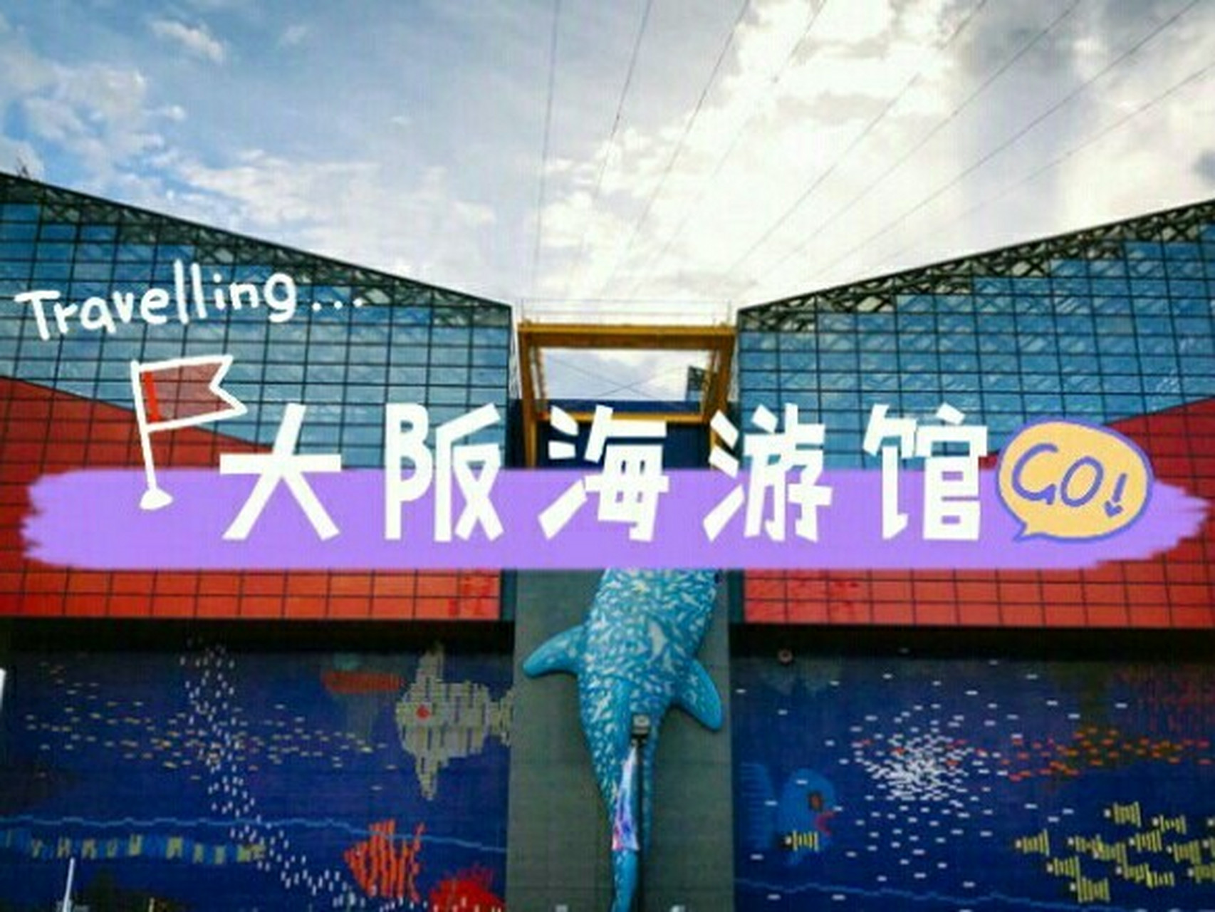 大阪海游馆78 91#大阪# 大阪海游馆是全球最大的水族馆,门票凭