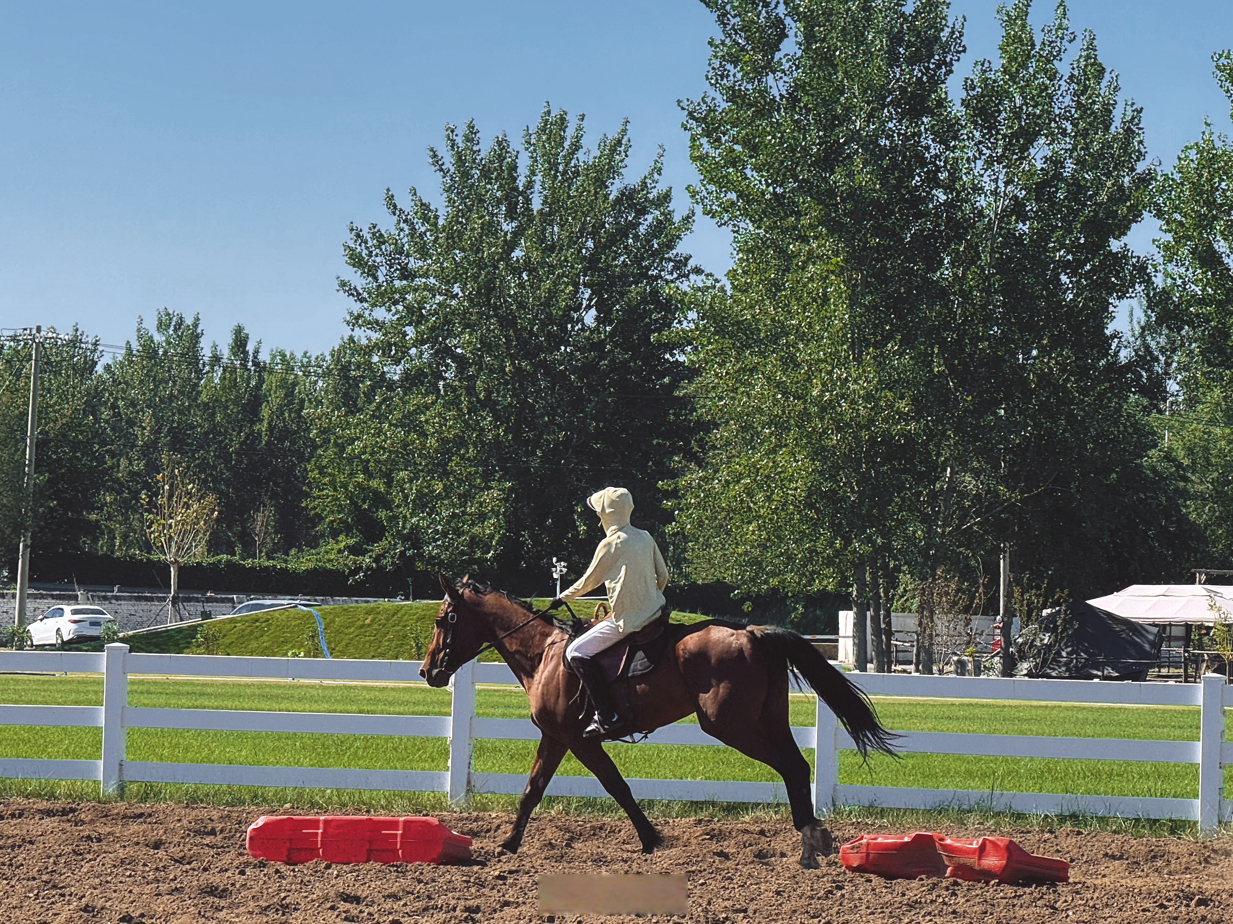 马术俱乐部法国中国马场石家庄  叶子广场   跑马场绿地马术运动骑马