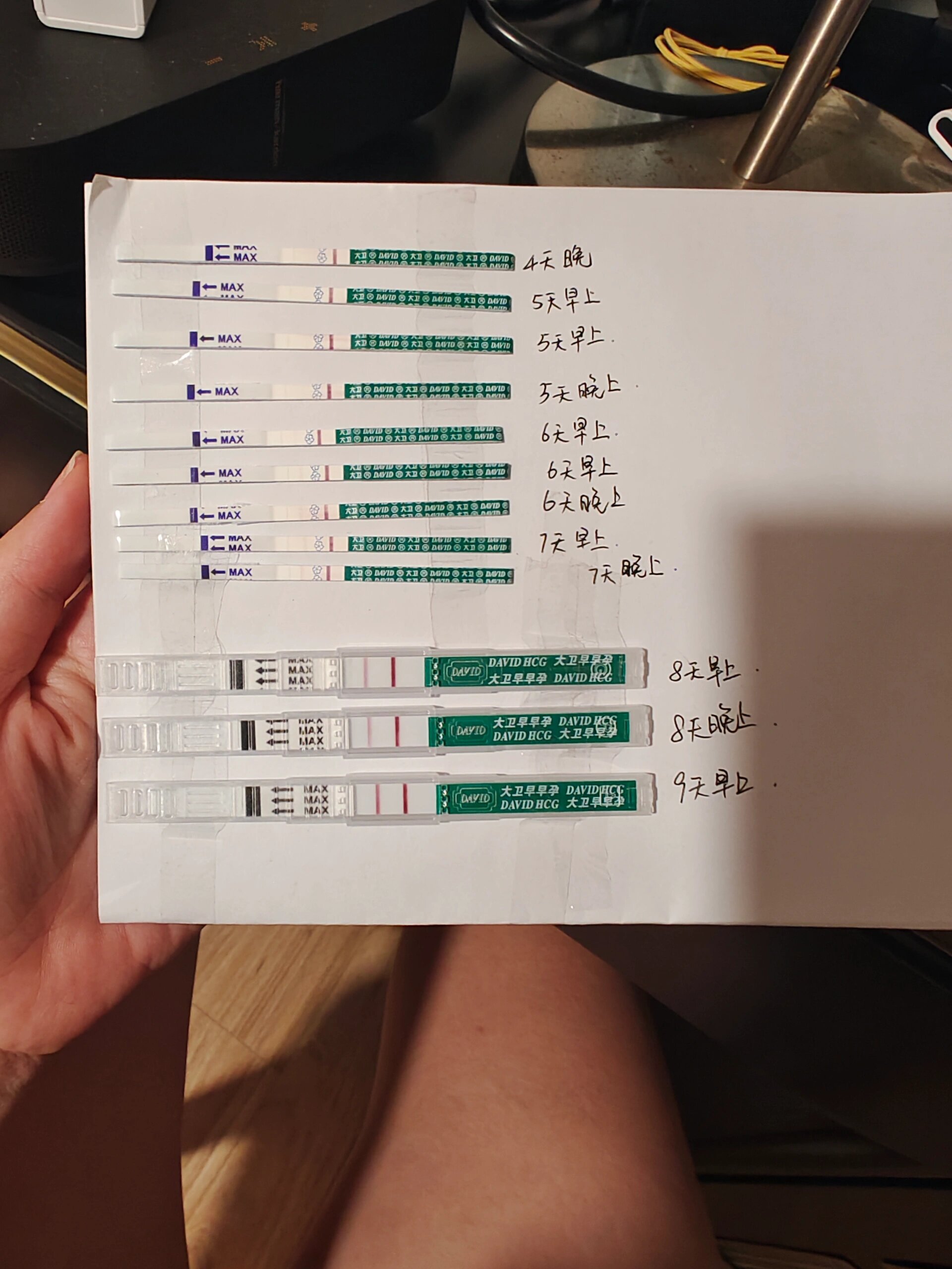 移植后试纸加深图图片