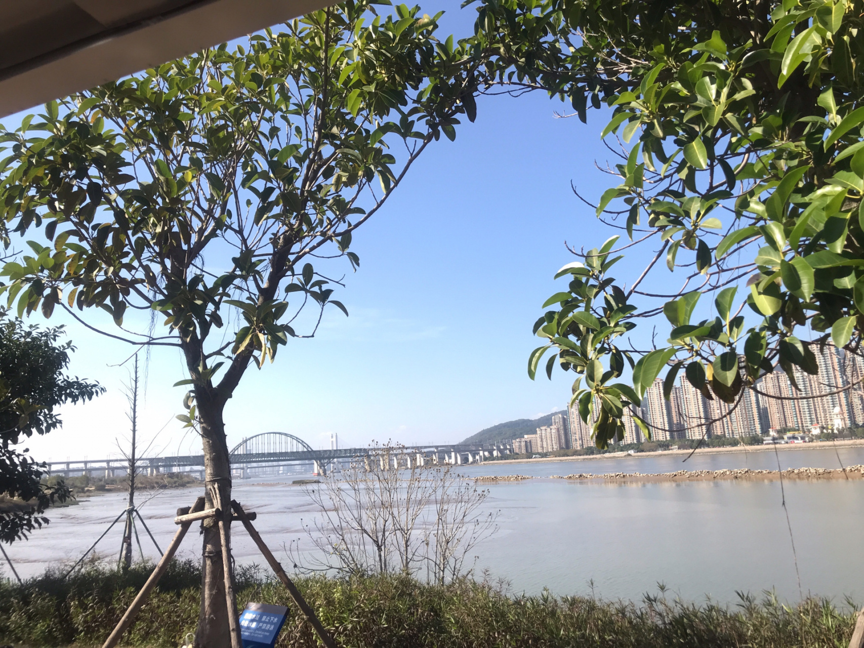 【周末遛娃】三江口生态公园   99地址:三江口生态公园 福州三江口