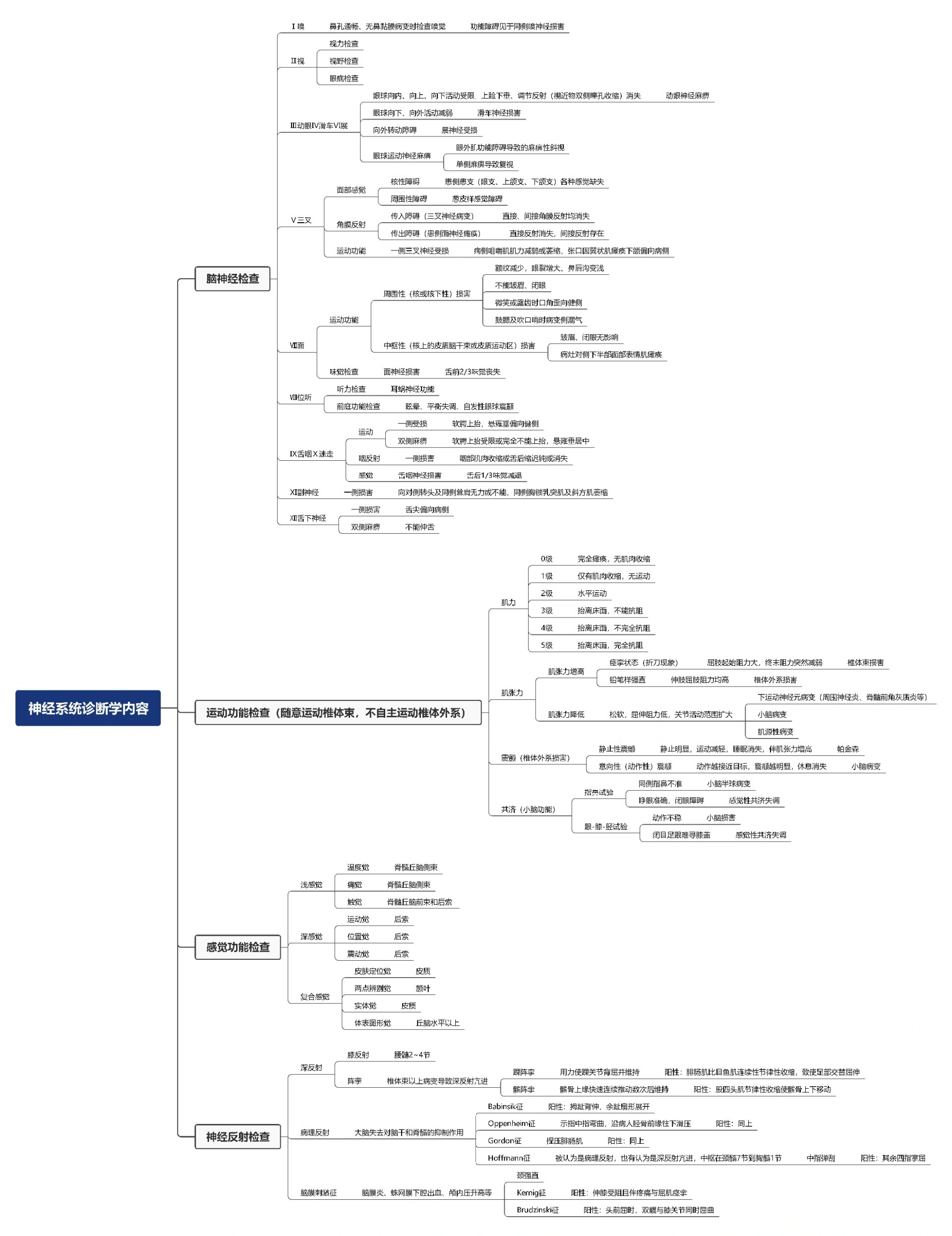 人体神经系统思维导图图片
