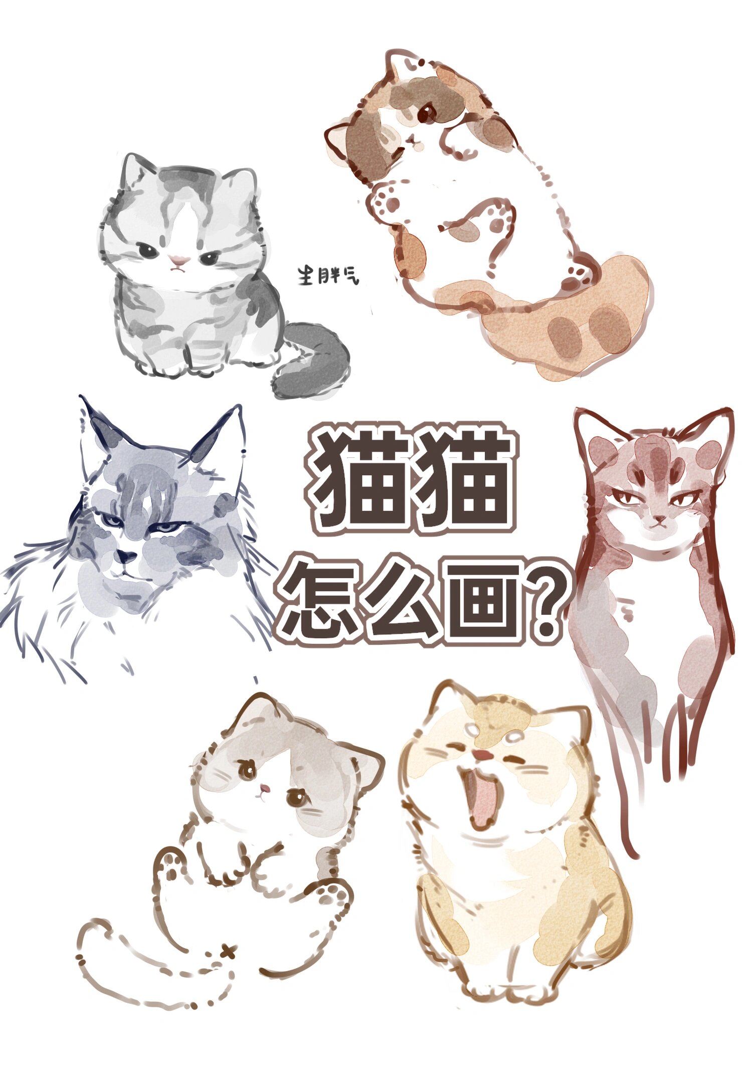 【小教程】带你三步画一只猫