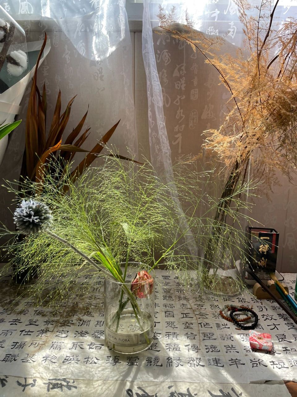 喷泉草  它的花语很有诗 桌面上的小泉眼 — 喷泉草 它的花语很有