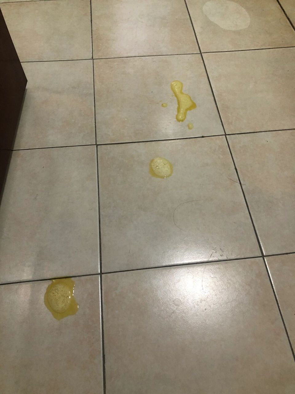 巴哥吃了驱虫药之后第二天早上吐了 是这样的,我家狗之前得过细小