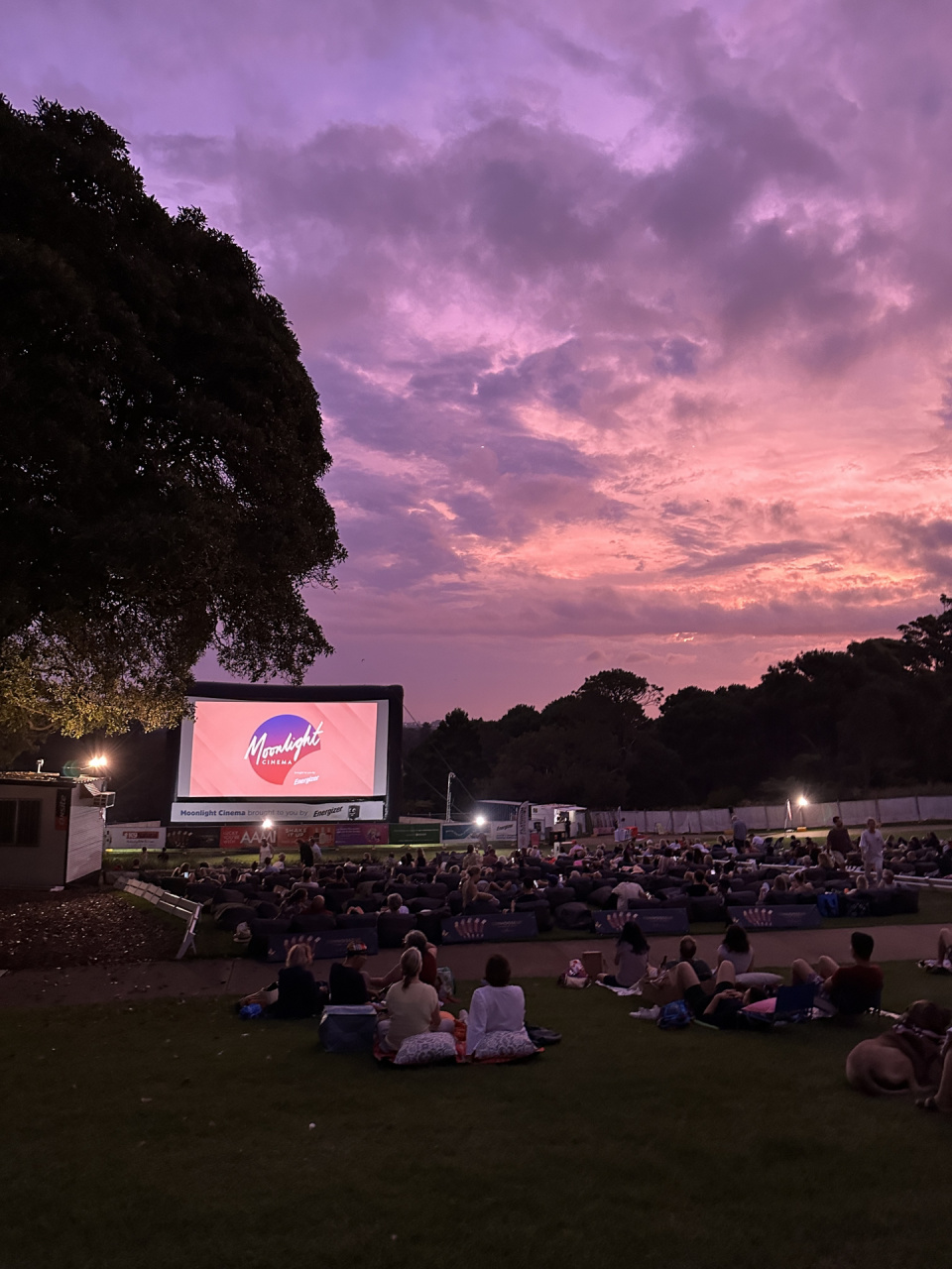 悉尼|moonlight cinema露天影院 露天影院真的好适合夏天!