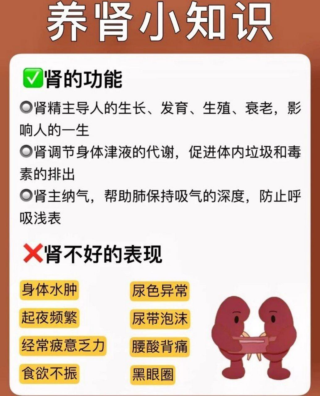 关于养肾的小知识 养肾小知识#养肾护肾# #知识科普