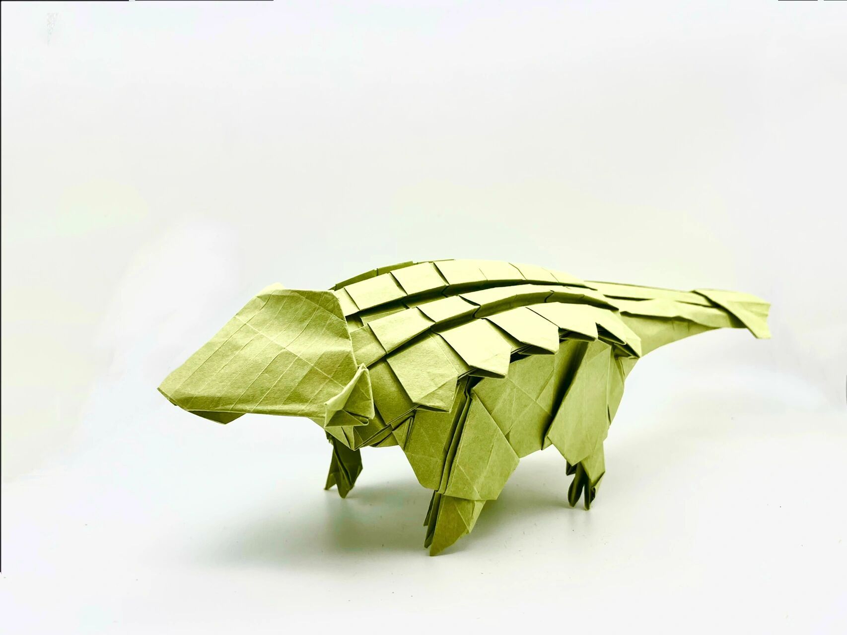 【折纸】甲龙 原设计-川畑文昭 用纸-50cm针阔纸 用时-4个小时 难度不