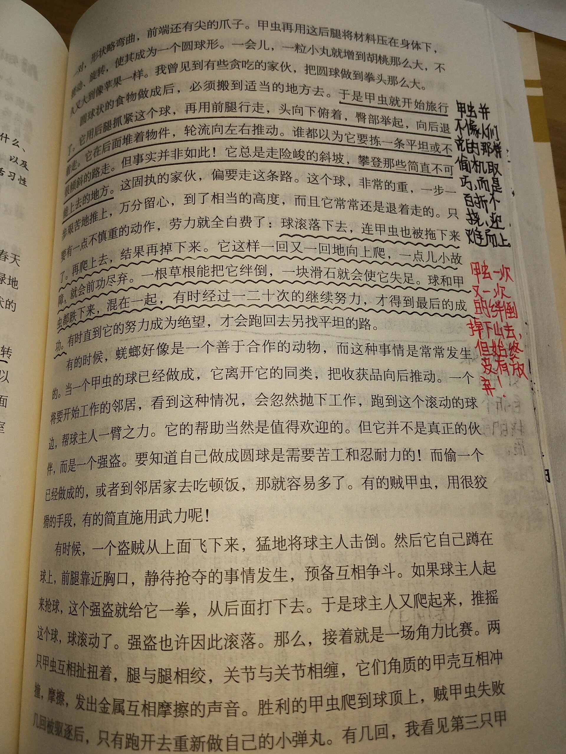 《昆虫记》第13章 蜣螂 每个人都很渺小,可每个人都拥有自己的宇宙.