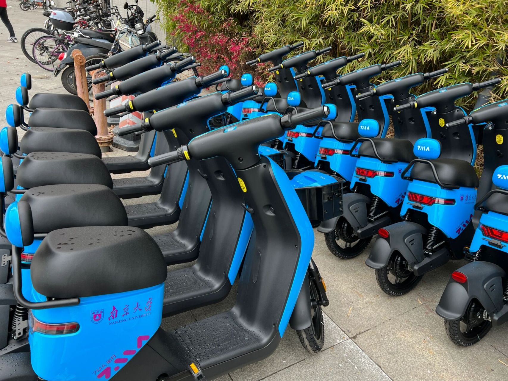 好消息,南大仙林校区有共享电动车了,目前主要停放在四组团11食堂