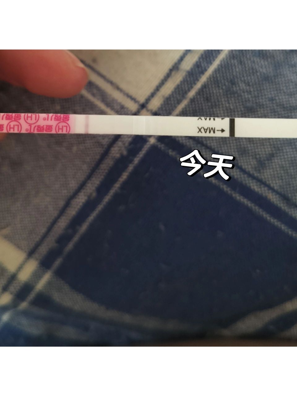 排卵试纸一条线 前几天都是一深一浅,没强阳过,今天肚子坠疼有点红