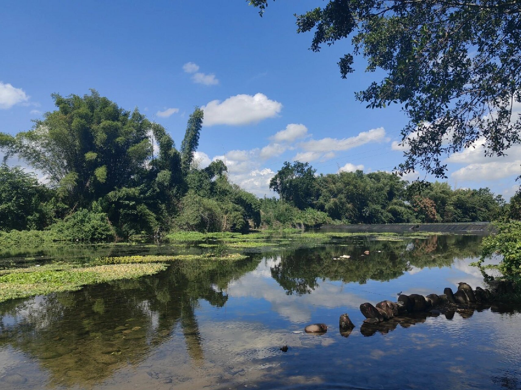 国庆第三天,误打误撞到了荔浦荔江湾景区59元的通票,包括玻璃桥,游船
