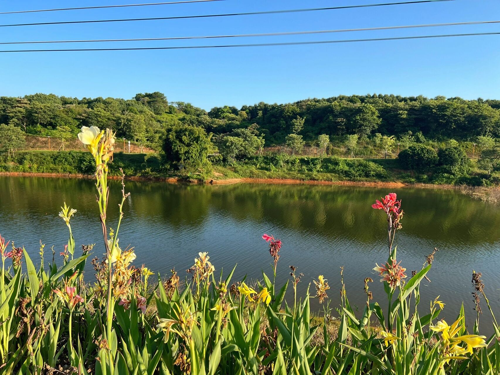 博罗石湾周边游推荐:大洞水库环游骑行～ 午饭后休息了一下,大概三点