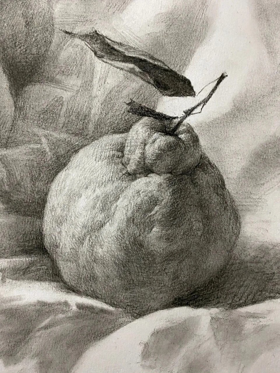 静物素描‖橘子塑造