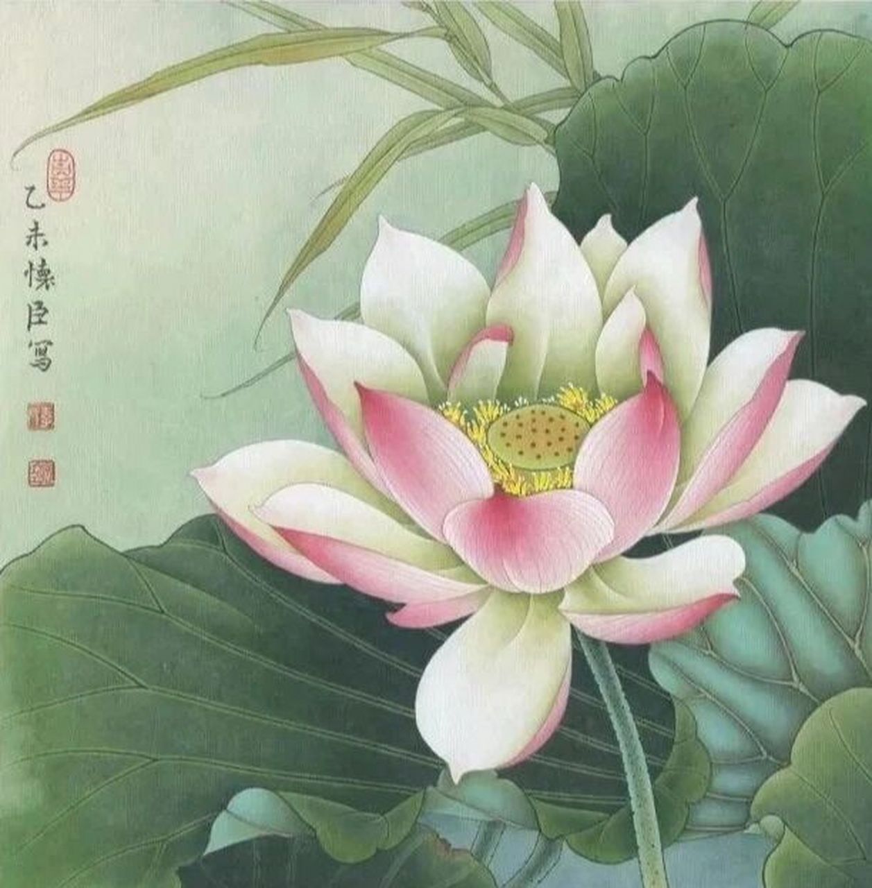工笔画步骤分享《荷花》 1,花头用淡墨细线勾勒,花房莲蓬用中墨勾勒.