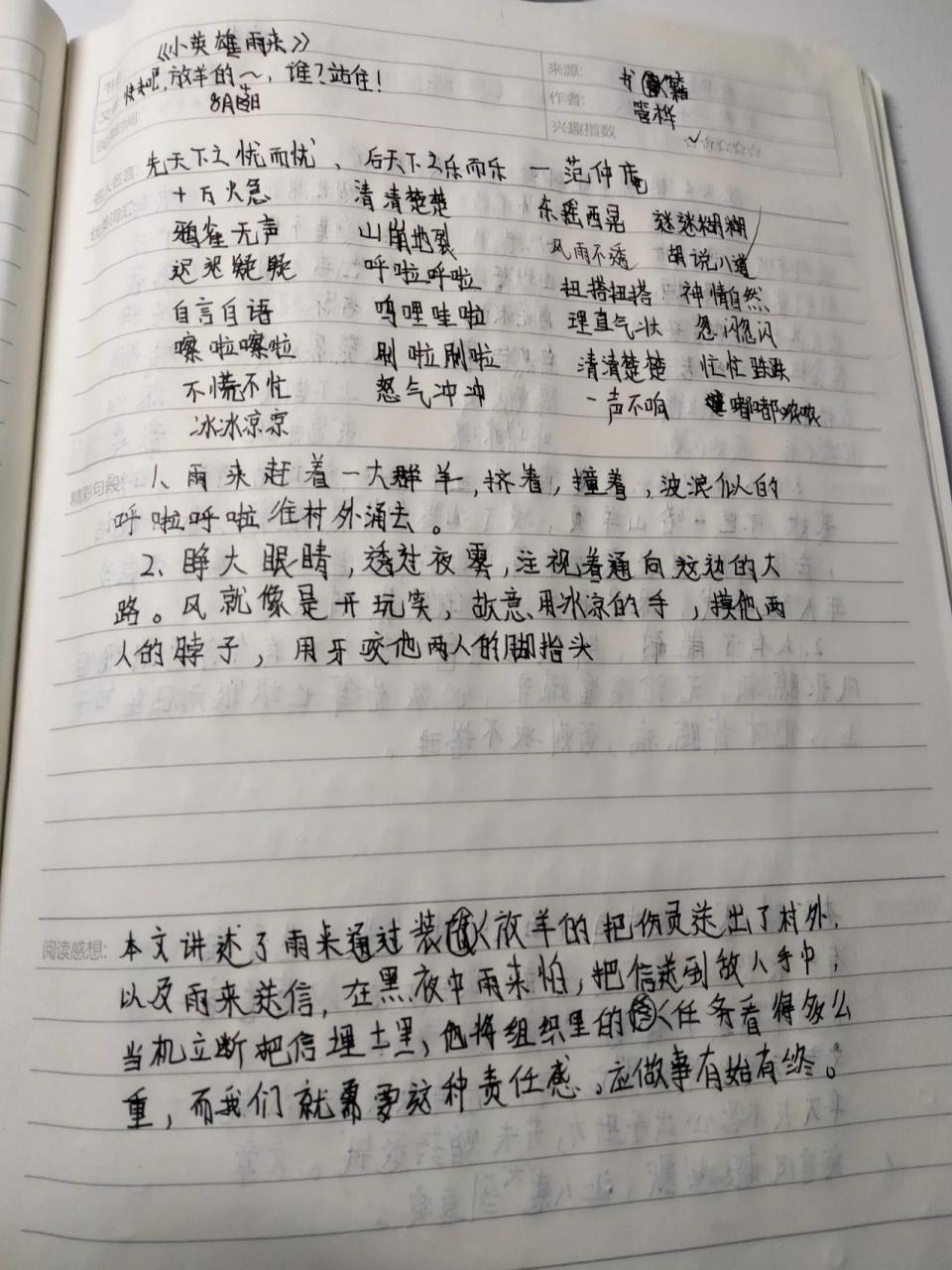 《小英雄雨来》读书笔记 《小英雄雨来》14