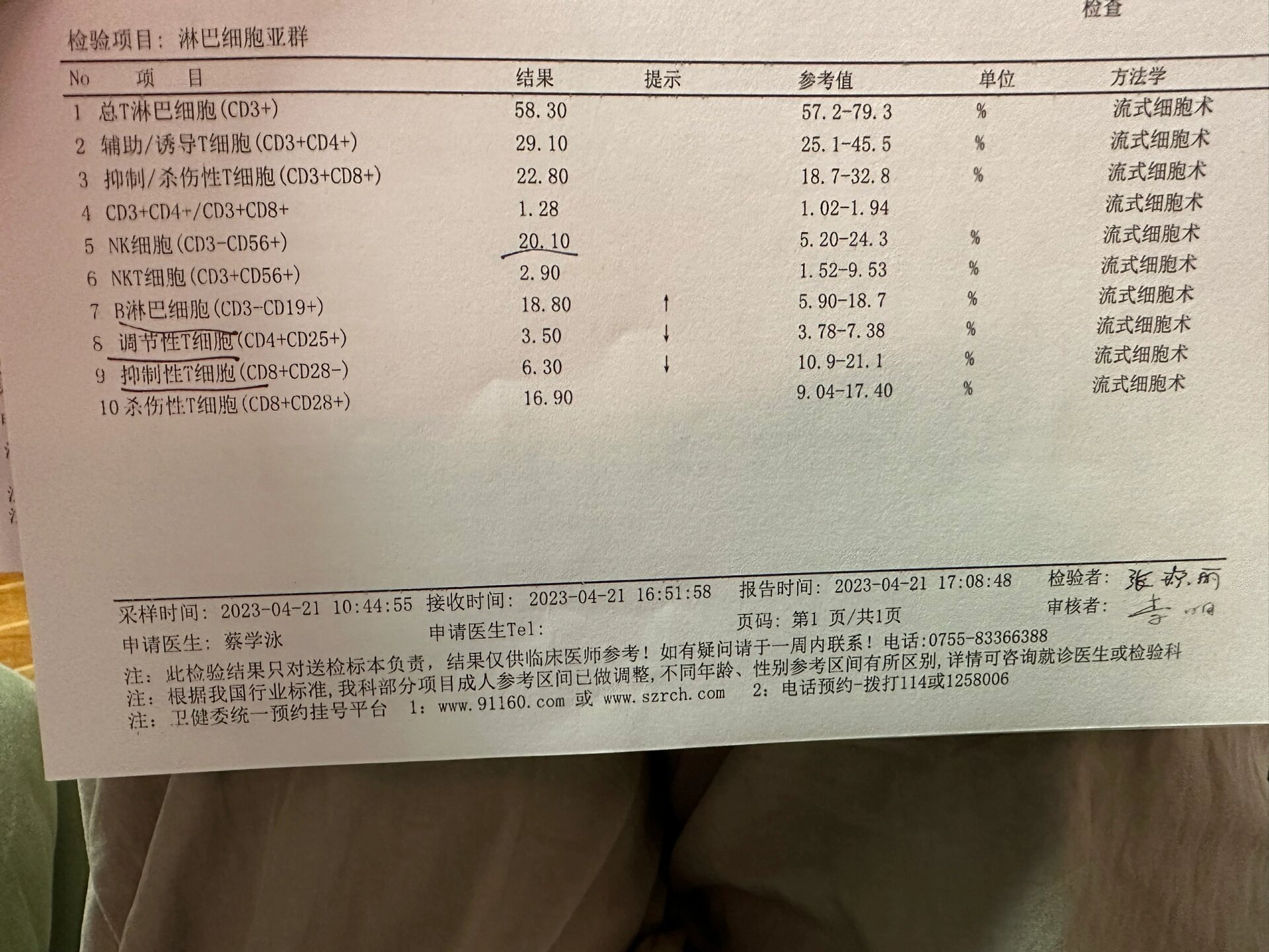 免疫球蛋白化验单图片