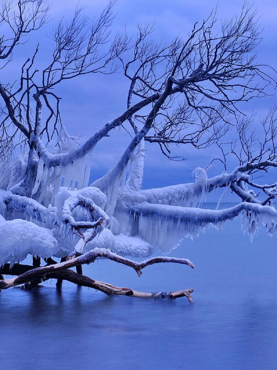 雪景图片唯美伤感图片