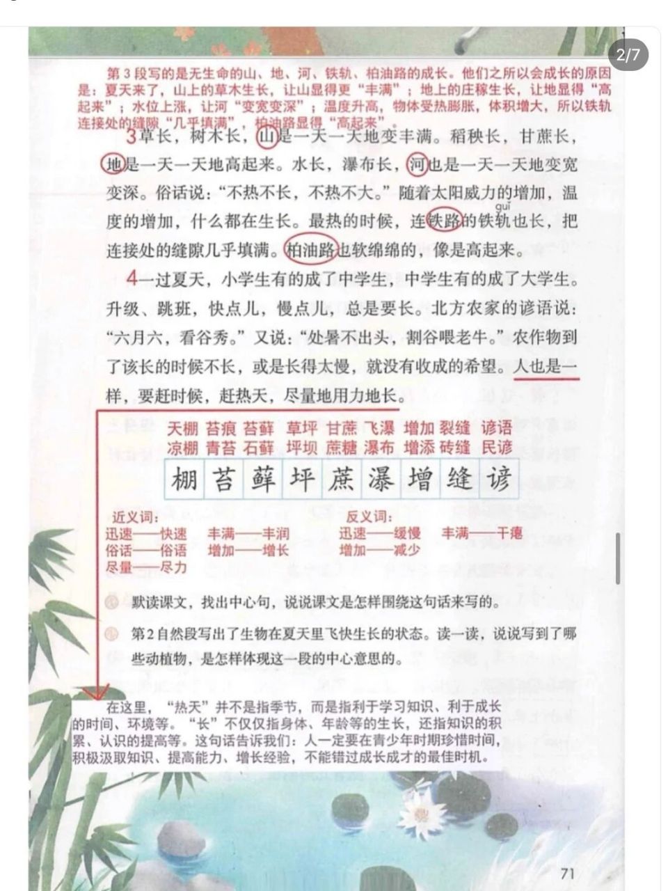 《夏天里的成长》笔记 六年级上册第十五课《夏天里的成长》课文主题