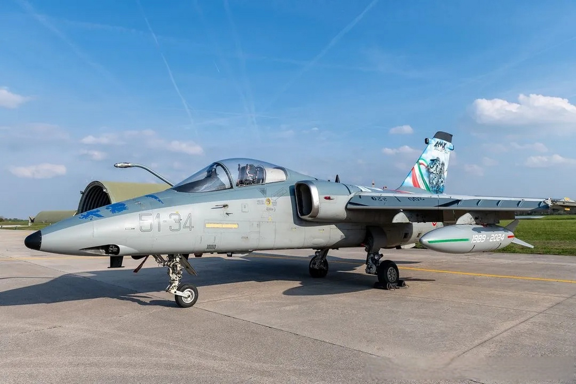 意大利空军的amx攻击机退役纪念涂装