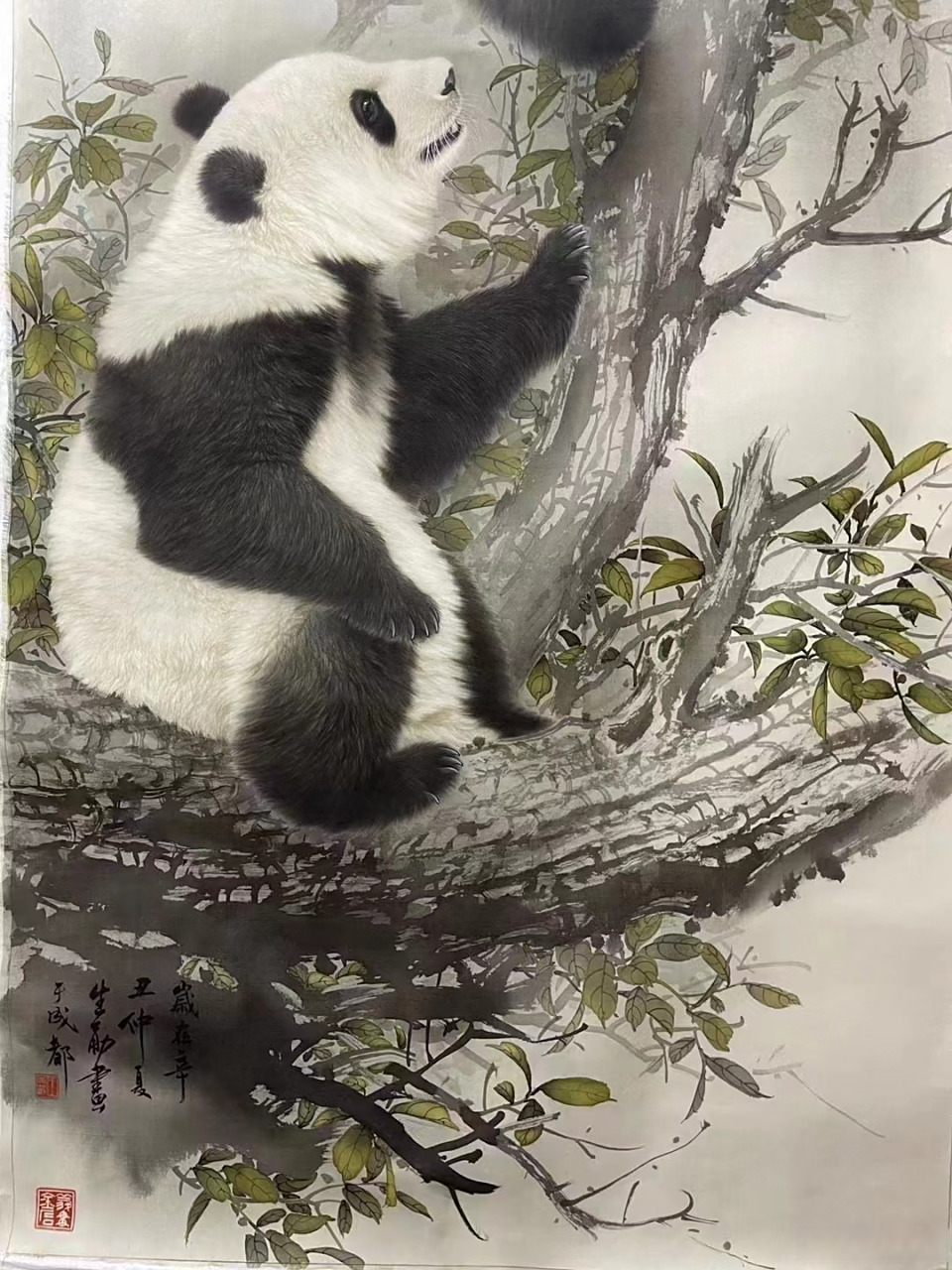 王申勇老师精品大熊猫#艺术##国画