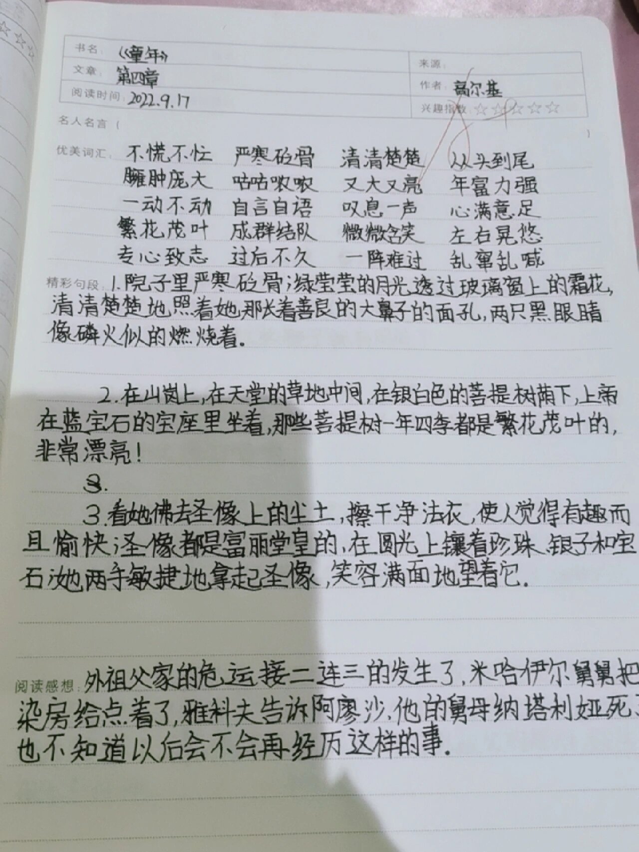 《童年》第四章读书笔记