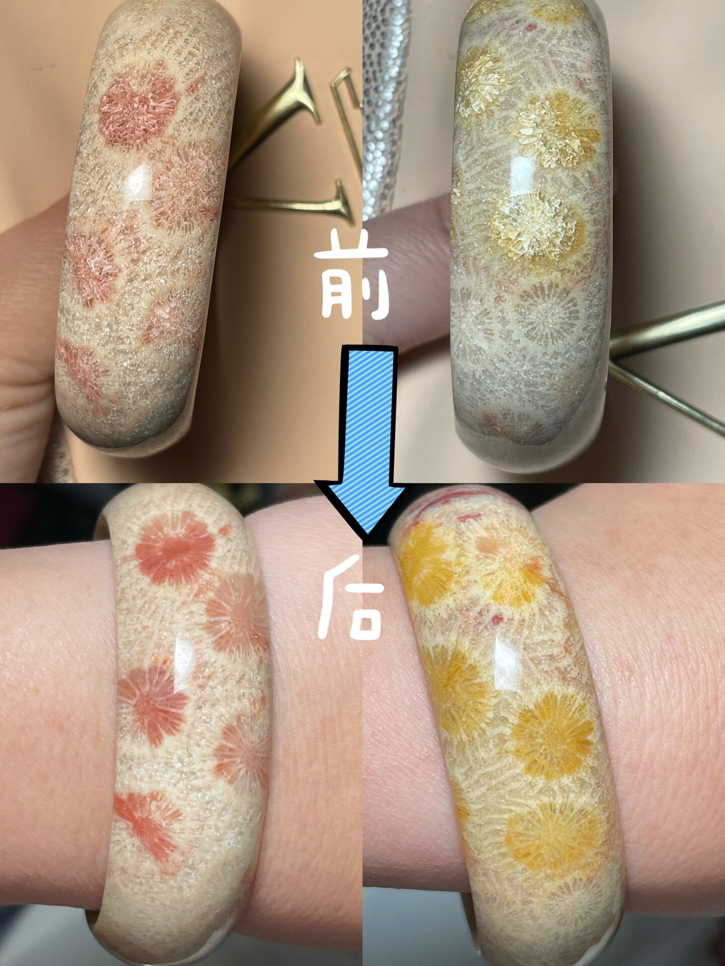 珊瑚玉前后变化对比 前几年我是个珊瑚玉的佛系玩家,发现自己养珊瑚玉