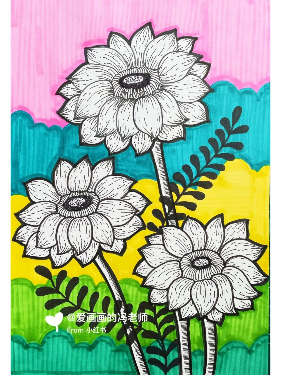 今日分享线描花卉,大丽花,菊花,雏菊 花卉用到了针管笔,点线面结合