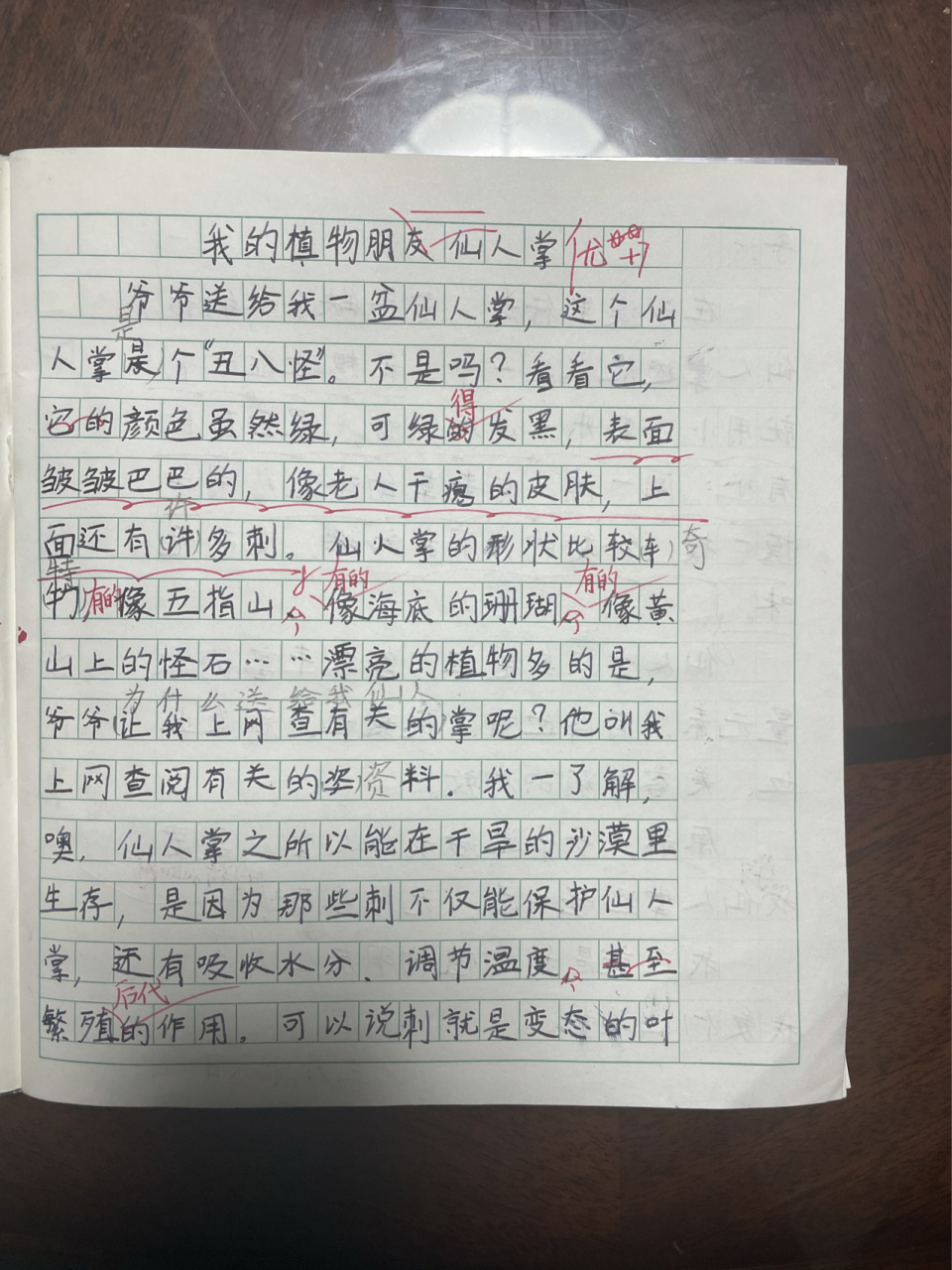 仙人掌的样子写字图片