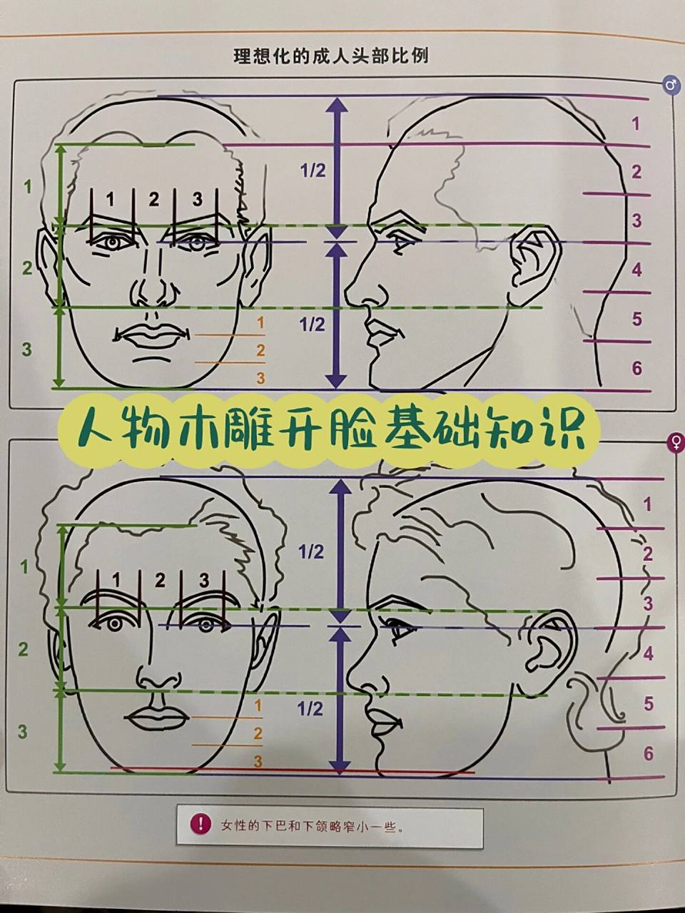 木雕入门|人物开脸需掌握的基础知识(图解) 木雕开脸是一个复杂工程