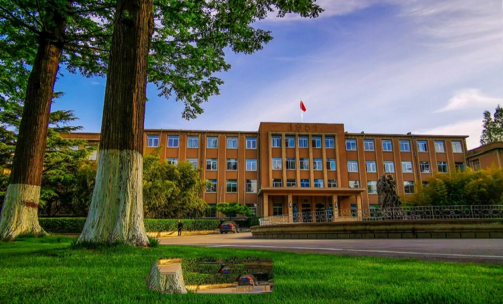 青岛农业大学海都学院在烟台莱阳,莱阳果园不少啊哈哈哈,大樱桃莱阳