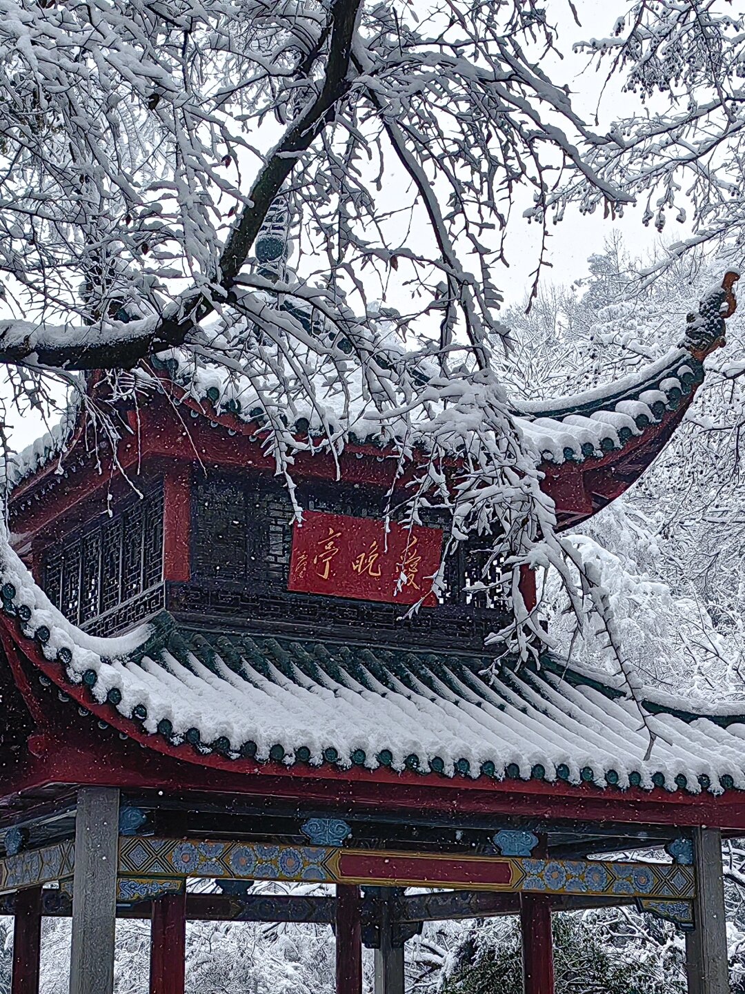 了 对这场雪又爱又恨 #暴雪# #长沙下岳阳楼雪景长沙下雪长沙雪景图片