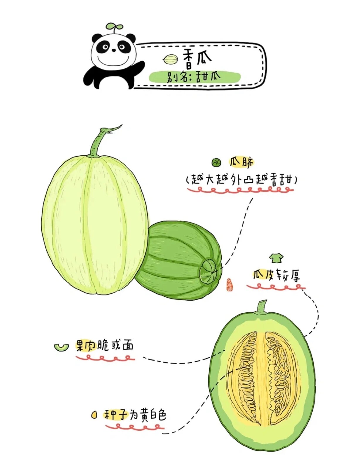 幼儿园【瓜果解析图