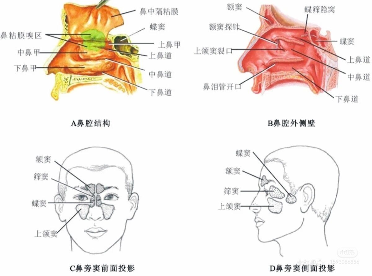 新生儿鼻道不通气呼哧呼哧怎么办?