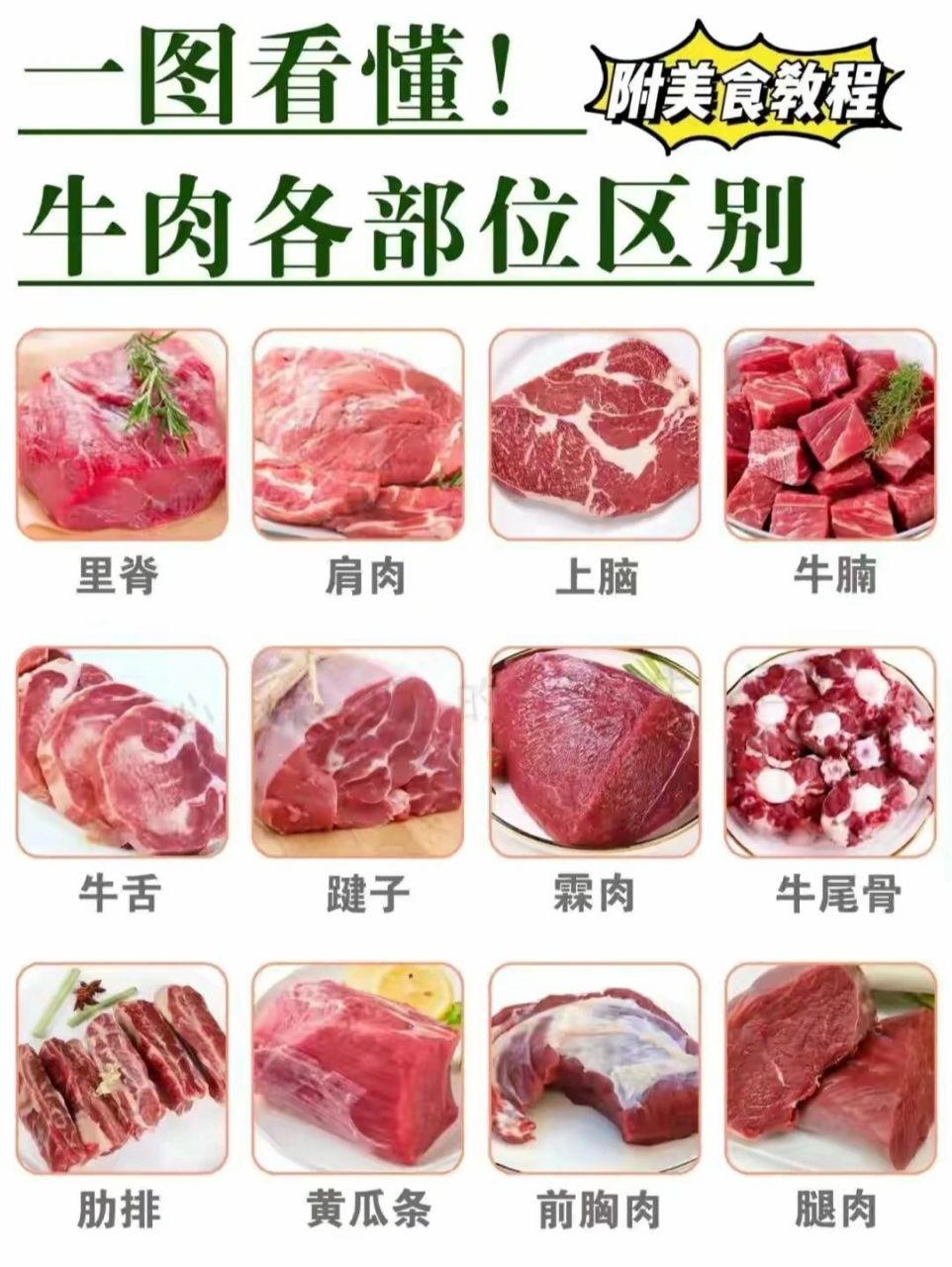一张图读懂牛肉各部位 一张图看懂牛肉部位,看完这篇你就是大厨 115
