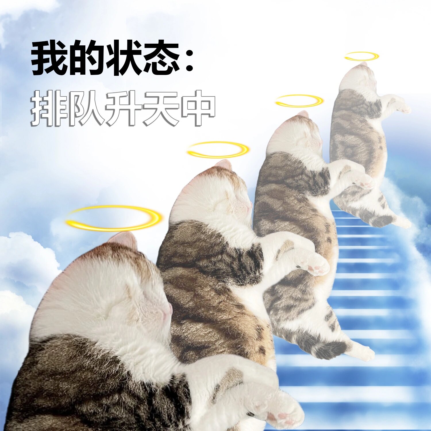 打工人表情包:排队升天中