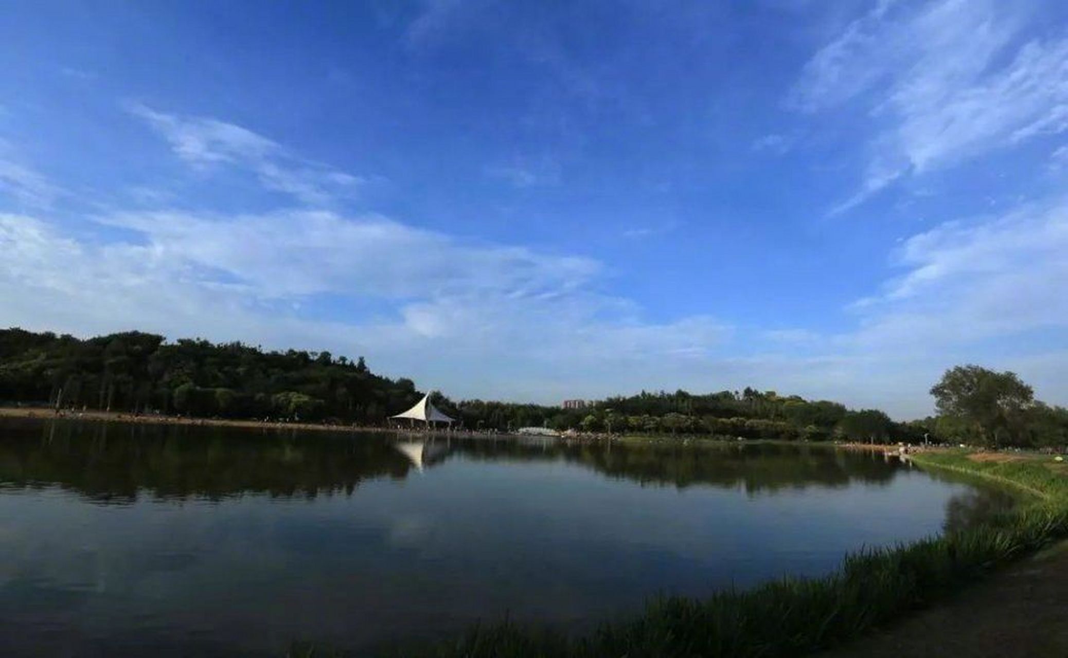 濮阳八景#连绵十几公里的濮阳金堤河国家湿地公园,是濮阳人休闲娱乐